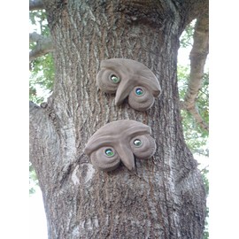 Genuine Tree Peeple Mr and Mrs Who Tree Face