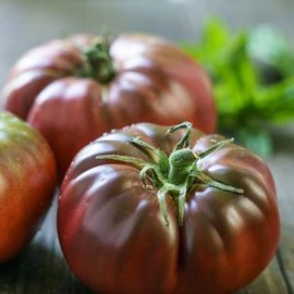 Brandywine Black, Standard (Slicing) Tomato (Lycopersicon esculentum) Vegetable Seeds, Thin Skin, Firm Texture, Rich, Bold Flavor, Seeds by MySeeds.Co, You Choose The Amount (Trial Packet Size)