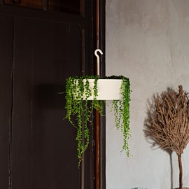 Tree Nest Hanging Planter 12 Inch Outdoor Hanging Flower Pot Holder for Plants Indoor Plant Basket Recyclable Plastic Hanger with Hook and Drain Hole Round White(NO Flower)