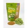 Todd’s Seeds - Alfalfa Seeds - 16 Oz Bulk Alfalfa