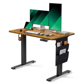 Marsail Electric Standing Desk, 40x24 Inch Adjustable Height Home Office Gaming Desk with Memory Presets, Storage Bag, Stand-Up Desk for Computer Workstations.