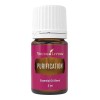 Young Living Aceite Esencial Purificación Young Living 5ml