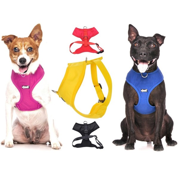Dexil Elite Range Luxury Padded Waterproof Adjustable Back and Front