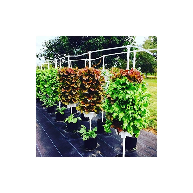 1305 Stacking Plants (Hunter Green)