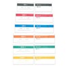 Pack of 60 Banknote Banderoles, Pack of 10 for 5