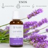 Tea Garden Company Aceite Esencial Puro Lavanda 100% Natural 65