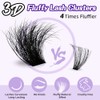 B&Q Fluffy Lash Clusters Kit 100D+200D Dramatic Eyelash Clusters Kit