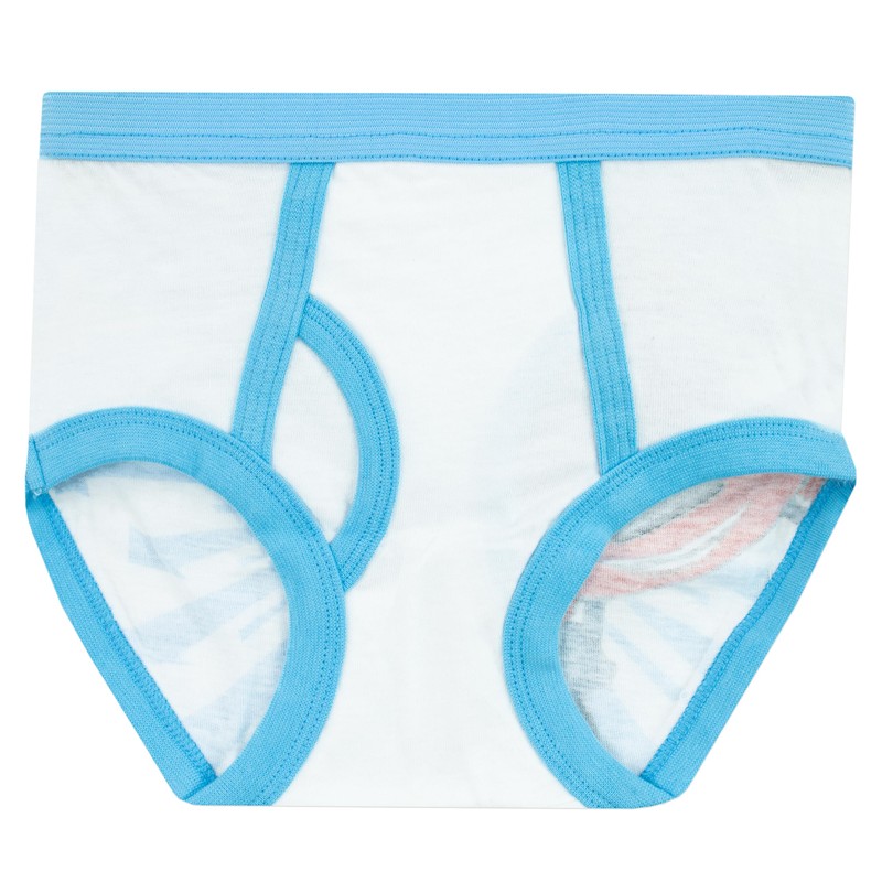 Paquete de 5 Ropa Interior para niños de Blaze y