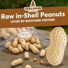 Trailmark Naturals - 1 LB - Raw Peanuts For Squirrels,