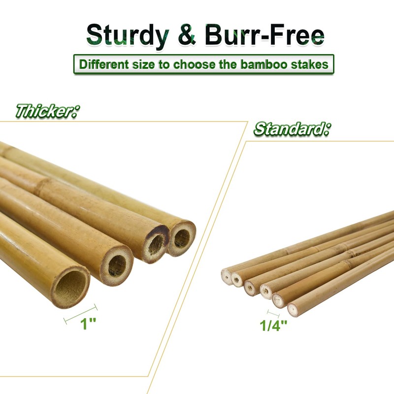 Jollybower 10pcs 1" D Thicker Heavy Duty Bamboo Stakes, 8FT