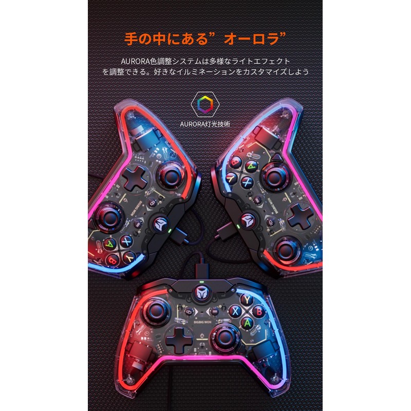 BIGBIG WON PC Wired Controller, Back Button, Switch, Controller Wired