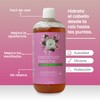 Shampoo Con Cacahuananche Estimulador Capilar Productos Mart Mexico 500 Ml