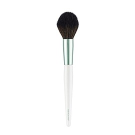 The Face Shop FMGT. Cheek Brush,