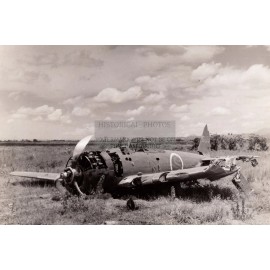 OSCAR 52 JAPANESE FIGHTER PLANE SHOT DOWN IN FIELD DESTROYED WW2 4X6 POSTCARD