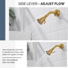 Angle Simple High Flow Shower Head, Brass Shower Sprayer for