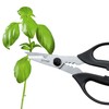 Triangle 50 478 09 02 Herb Scissors, Steel, Black/Silver –