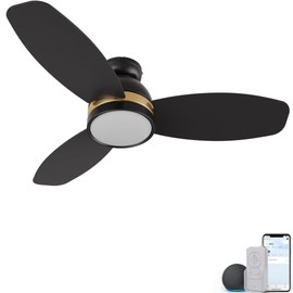 52" Low Profile Ceiling Fan with Dimmable LED Light, Modern Ceiling Fan with reversible DC motor, Smart Ceiling Fan Controlled by APP, Remote, Google Home, Alexa and Siri Shortcut, Black Ceiling Fan