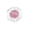Bistopia Chameleon Eyeshadow Collection, 14 Shades, Glitter Pressed Powder, Iridescent
