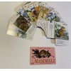 Golden Press Mammals Golden Press Card Game Sealed Pack Of