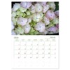 Hydrangeas in the Garden (Monthly Wall Calendar 2026 11.7" x