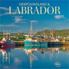 Newfoundland & Labrador | 2026 12 x 24 Inch (Hanging)