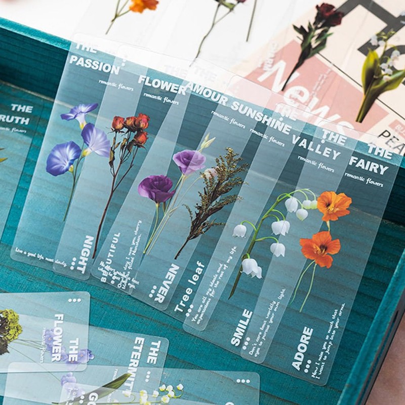 moin 2501sor128 Bookmarks, Clear, 36 Piece Set