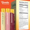 Jamba Smoothie Pops Variety Pack, 16 Count – 100% Fruit
