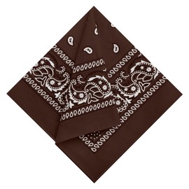 Muka 9 Pieces Paisley Bandanas Necktie Headband Pocket Square Handkerchiefs Cowboy Scarf Costume, 21" x 21"-Brown