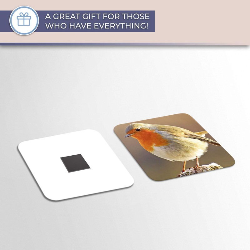 Destination Vinyl ltd Fridge Magnet - Robin Redbreast Bird Animals