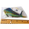 Mahi Mahi Ornament Realistic Fish Christmas Tree Decoration, 4 Inches