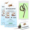 Qualirey 4 Pack Sticky Mouse Traps 8 x 14 Large