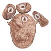 Tiardey Tree Trunk Decoration Outdoor Trunk Hanging Decoration Easter Garden