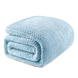 Exclusivo Mezcla Light Blue Fleece Queen Size Blanket for Bed, Super Soft Cozy Blankets with Decorative Wave Textured, Lightweight Plush Blanket All Season Use, 90x90 Inches