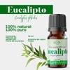 MEVA ACEITE ESENCIAL 100% PURO DIFUSOR MASAJE 10ML (EUCALIPTO)