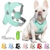 Patas Lague Dog Harness with Leash Set Adjustable Soft Padded