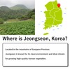 KorGourmetta | Korean Dried Gondre 100g – From Jeongseon, Gangwon