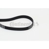 Continental 6PK1660 Ribs in Contitech V-Belt