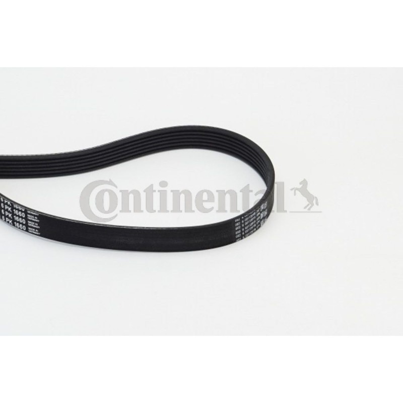Continental 6PK1660 Ribs in Contitech V-Belt