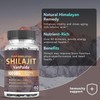 Sugar Free Shilajit Gummies, Pure Himalayan Shilajit Gummies Supplement for