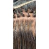 ILOVEHAIR Nanochip Ó Cosychip Para Extensiones De Cabello 500pzas