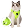 Evel Cat Harness and Leash, Ultra-Light, Escape-Proof, Adjustable, Soft Mesh