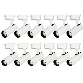 Bravsekai Brightened Track Lights Dimmable Accent Lighting, 12PCS 3000K Warm White LED Track Lighting Heads, Compatible for Single Circuit H Type Rail Track Lights 30W Indoor Spotlight Fixtures