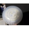 LumaPro 13R388 LED Lamp, 8W, R20, E26, 5700K