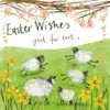 Alex Clark Easter Wishes just for ewe Foil Card -