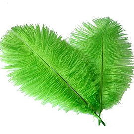 Sowder 6-8inch(15-20cm) Ostrich Feathers Plume for Wedding Centerpieces Home Decoration Pack of 10pcs(Lime Green)