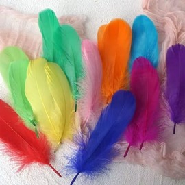 Liuliu Rabbit Colorful Goose Feathers for Crafts - 150Pcs 6-8inch Craft Colored Feathers for DIY Crafts,Angel Wings,Dream Catcher and Wedding Party Decor