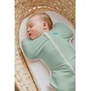 Love to Dream Swaddle UP Self-Soothing Sleep Sack 13-19 lbs,