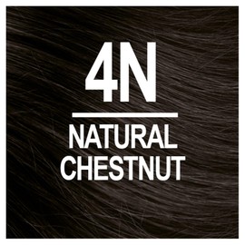 Naturtint Mens Permanent Hair Color for Hair Beard and Mustache (4N Men's Natural Chestnut)