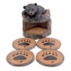 Black Bear Coaster Holder With 4 Coaster Set