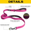 Fida 5 FT Heavy Duty Dog Leash with 2 Comfortable